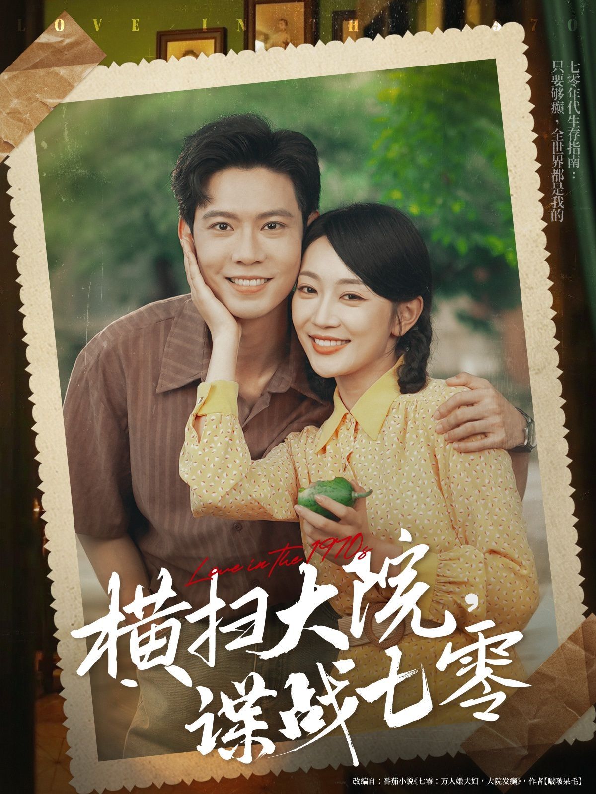 横扫大院谍战七零(全集)