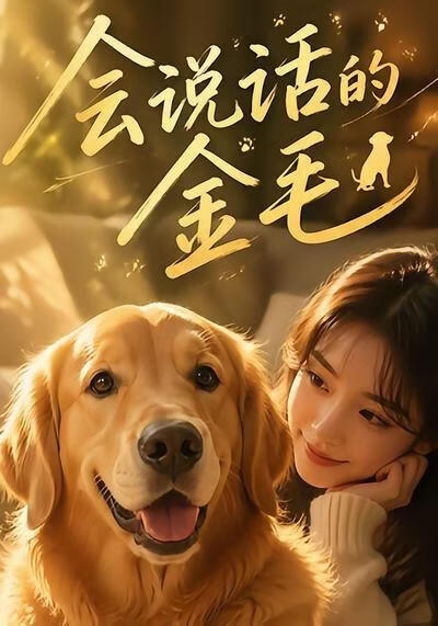 会说话的金毛(全集)