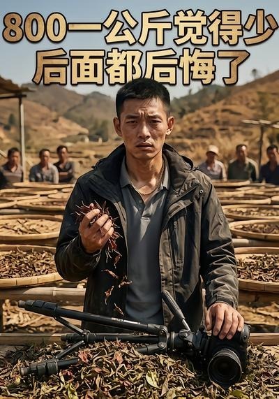 800一公斤觉得少后面都后悔了(全集)